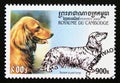 Postage stamp Cambodia 2000. Long haired Dachshund Canis lupus familiaris