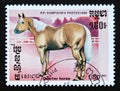 Postage stamp Cambodia 1986. Quarter horse Equus ferus caballus