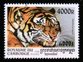 Postage stamp Cambodia, 1998. Tiger Panthera tigris Royalty Free Stock Photo