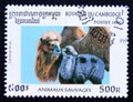 Postage stamp Cambodia, 1996, Wild Bactrian Camel, camelus bactrianus ferus