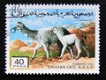 Postage stamp Cinderella, 1996. Lama guanicoe huanacus