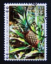 Postage stamp Comoros, 1977. Flowers, Pineapple