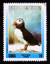 Postage stamp Cuba 2003. Atlantic Puffin Fratercula arctica bird