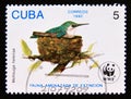 Postage stamp Cuba 1992. Bee Hummingbird Mellisuga helenae