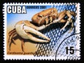 Postage stamp Cuba 2001. Blue Land Crab Cardisoma guanhumi Royalty Free Stock Photo