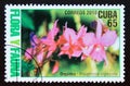 Postage stamp Cuba, 2010. Broughtonia ortgesiana flower Royalty Free Stock Photo