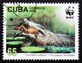 Postage stamp Cuba 2003, Cuban Crocodile, Crocodylus rhombifer Royalty Free Stock Photo