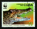 Postage stamp Cuba, 2003. Cuban Crocodile Crocodylus rhombifer Royalty Free Stock Photo