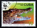 Postage stamp Cuba 2003, Cuban Crocodile, Crocodylus rhombifer Royalty Free Stock Photo