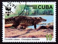 Postage stamp Cuba 2003, Cuban Crocodile, Crocodylus rhombifer Royalty Free Stock Photo