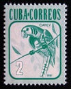 Postage stamp Cuba 1991. Cuban Parakeet Aratinga euops bird Royalty Free Stock Photo