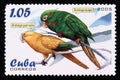 Postage stamp Cuba 2005. Golden Parakeet Aratinga guarouba, Cuban Parakeet Aratinga euops Royalty Free Stock Photo