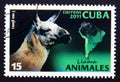 Postage stamp Cuba 2011, Lama, Lama glama