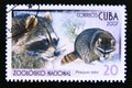 Postage stamp Cuba, 2007. Raccoon Procyon lotor