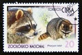 Postage stamp Cuba, 2007. Raccoon Procyon lotor