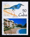 Postage stamp Cuba, 1995. Red legged Thrush Turdus plumbeus bird