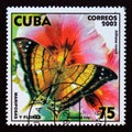 Postage stamp Cuba, 2003. Sunset Daggerwing Marpesia iole, Common Hollyhock Alcear