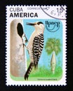 Postage stamp Cuba, 1995. West Indian Woodpecker Melanerpes superciliaris bird