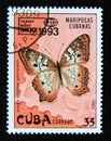 Postage stamp Cuba, 1993. White Peacock Anartia jatrophae guantanamo butterfly Royalty Free Stock Photo