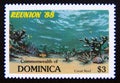 Postage stamp Dominica, 1988. Coral Reef Royalty Free Stock Photo