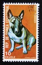 Postage stamp Equatorial Guinea, 1977. Bull Terrier dog breed Canis lupus familiaris