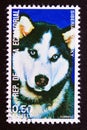 Postage stamp Equatorial Guinea, 1977. Siberian Husky dog breed Canis lupus familiaris Royalty Free Stock Photo