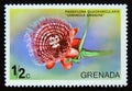 Postage stamp Grenada, 1975. Giant Granadilla Passiflora quadrangularis flower