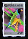 Postage stamp Guinea, 1996. Gouldian Finch Chloebia gouldiae bird