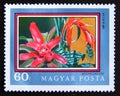 Postage stamp Hungary, 1971. Bromeliad Bromeliaceae flower