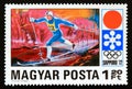 Postage stamp Hungary, 1971. Cross country skiing