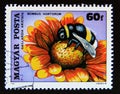 Postage stamp Hungary, 1980. Garden Bumblebee Bombus hortorum, Blanket Flower Royalty Free Stock Photo