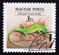 Postage stamp Hungary, 1989. Green Lizard Lacerta viridis