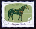 Postage stamp Hungary, Magyar, 1985. Horse Nonius 36, 1883 Equus ferus caballus