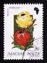 Postage stamp Hungary, Magyar, 1990. Protea barbigera flower africa