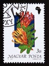 Postage stamp Hungary, Magyar, 1990. Protea compacta flower africa