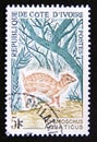 Postage stamp Ivory Coast, 1964. Water Chevrotain Hyemoschus aquaticus deer antilope