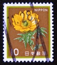 Postage stamp Japan 1982. Adonis Adonis Amurensis flower