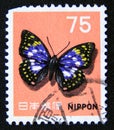 Postage stamp Japan 1956. Japanese Emperor Sasakia charonda butterfly