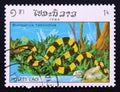 Postage stamp Laos, 1984, Banded Krait, Bungarus fasciatus