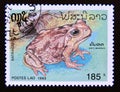 Postage stamp Laos, 1993. Cane Toad Bufo marinus