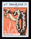 Postage stamp Laos, 1984. Indian Rock Python Python molurus snake Royalty Free Stock Photo