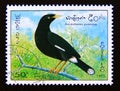 Postage stamp Laos, 1995. Javan Myna Acridotheres javanicus bird