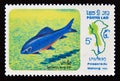 Postage stamp Laos, 1983. Labeo Morulius fish Royalty Free Stock Photo