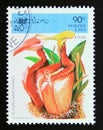 Postage stamp Laos, 1995. Nepenthes villosa insect eating plant flower