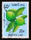 Postage stamp Laos 1989. Psidium Guajava fruit