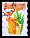 Postage stamp Laos, 1995. Sarracenia flava insect eating plant flower