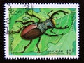 Postage stamp Laos, 1995. Stag Beetle Lucanus cervus insect