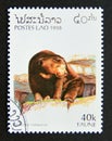 Postage stamp Laos, 1996. Sun Bear Helarctos malayanus