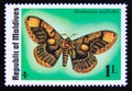 Postage stamp Maldives, 1975. Owl Moth Brahmaea wallichii butterfly insect