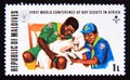 Postage stamp Maldives, 1973. Scouts treating injured lamb